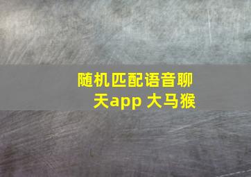 随机匹配语音聊天app 大马猴